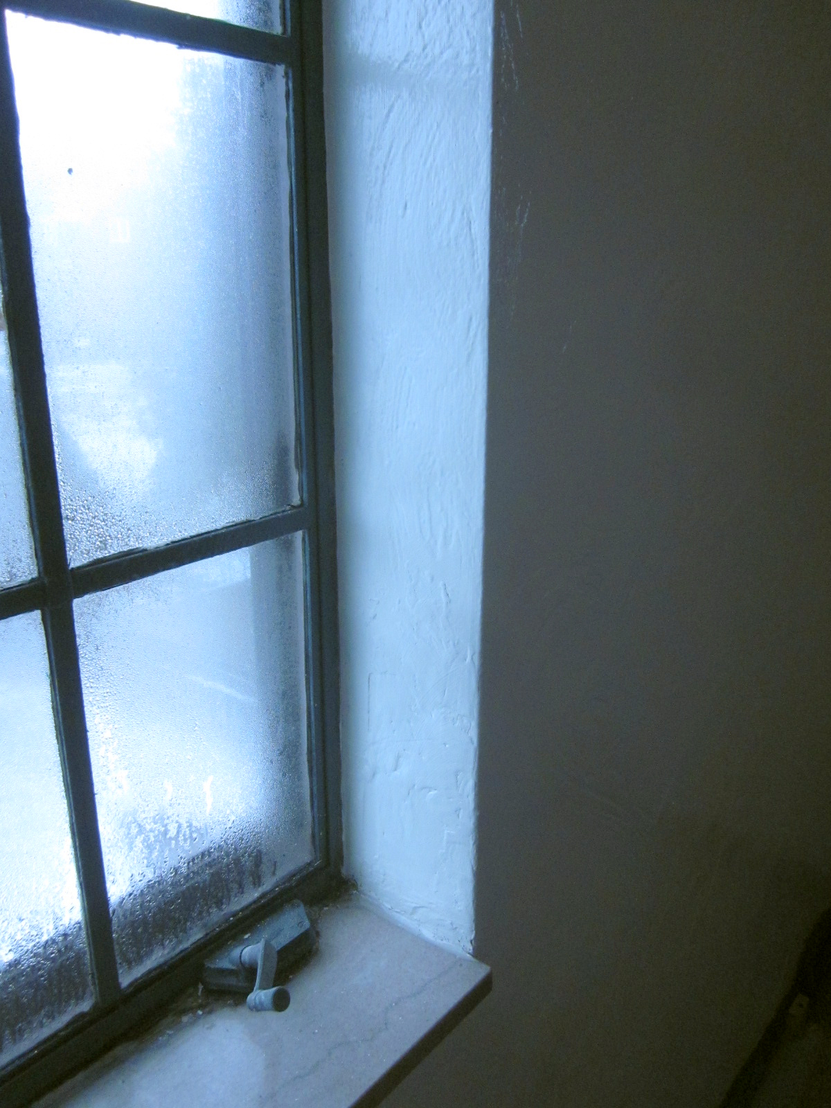 Plaster Repair, Painting, and Bookcases, Oh My!!