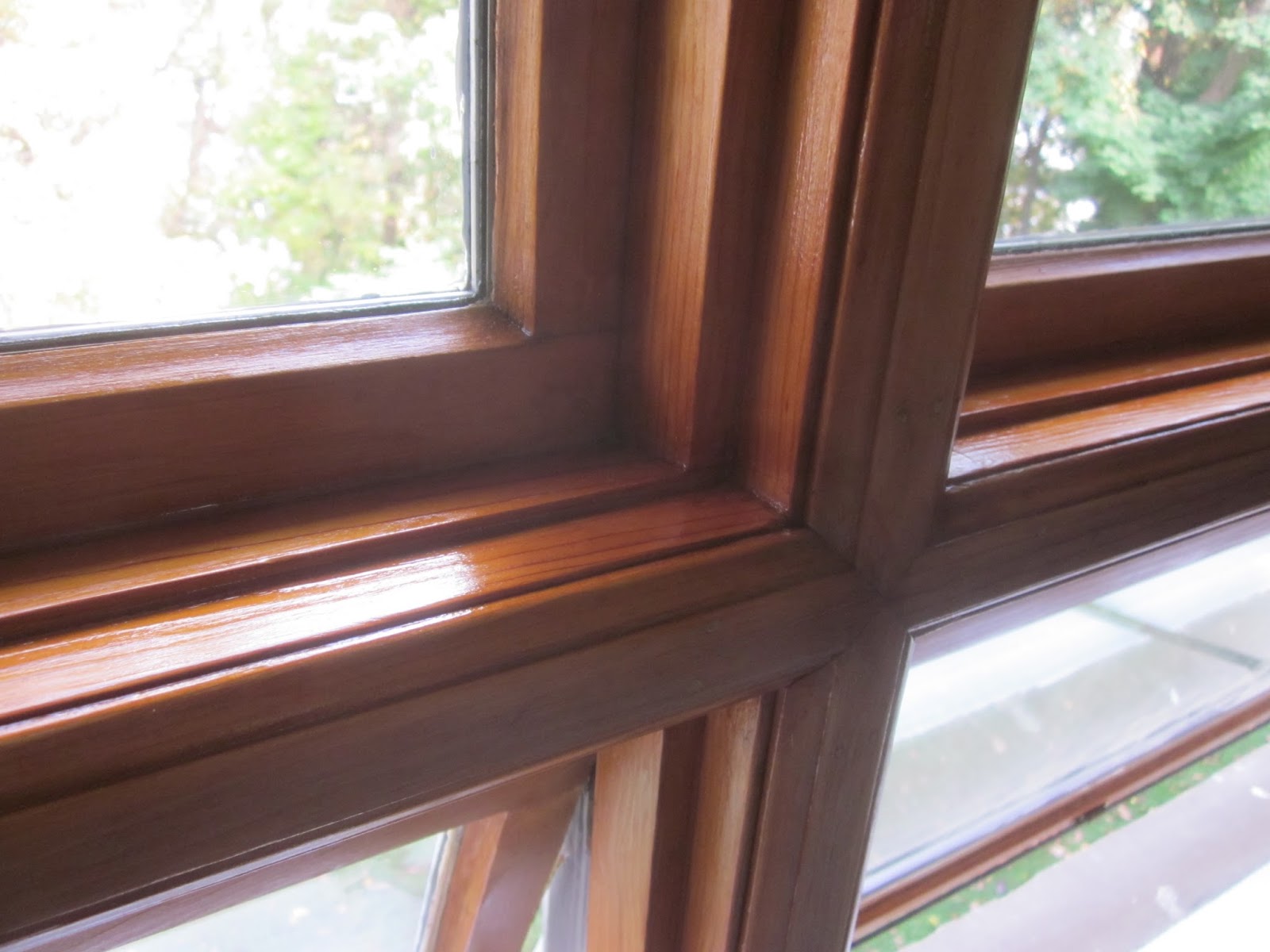 Windows, Doors, and Dogs